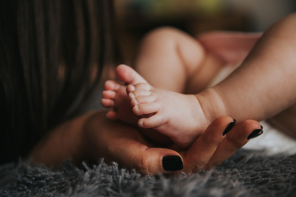 family law parents child